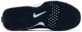کتانی ورزشی بسکتبال نایک لبرون ویتنس 8--NIKE Men's Nike LeBron Witness 8 TB Basketball FB9944-401